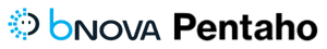 loghi combinati bnova pentaho